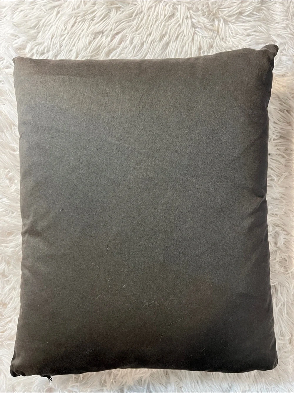 Picture Show Sandra Dee/Adam Faith Pillow